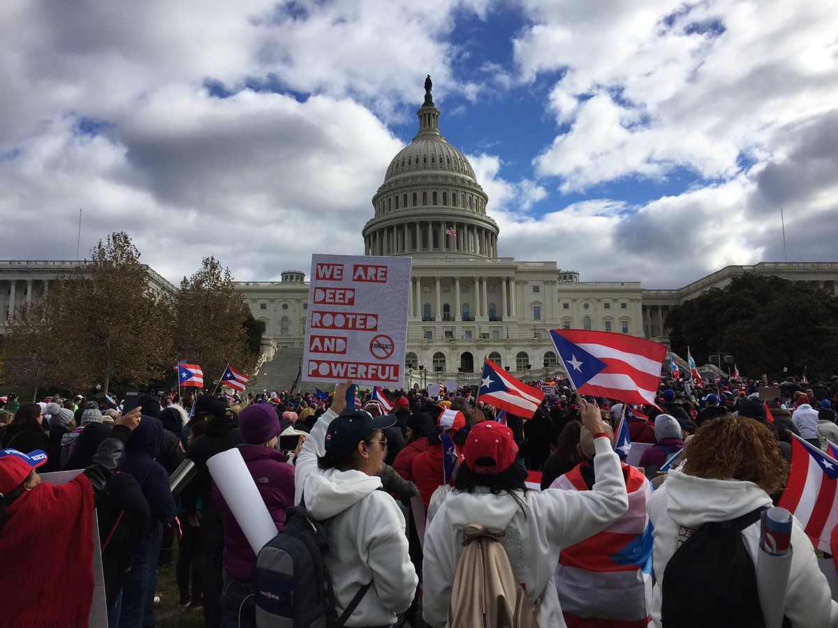 When protest signs speak truth: “We are powerful and deeply rooted” #PuertoRicoSeLevanta #UnityMarchforPuertoRico
