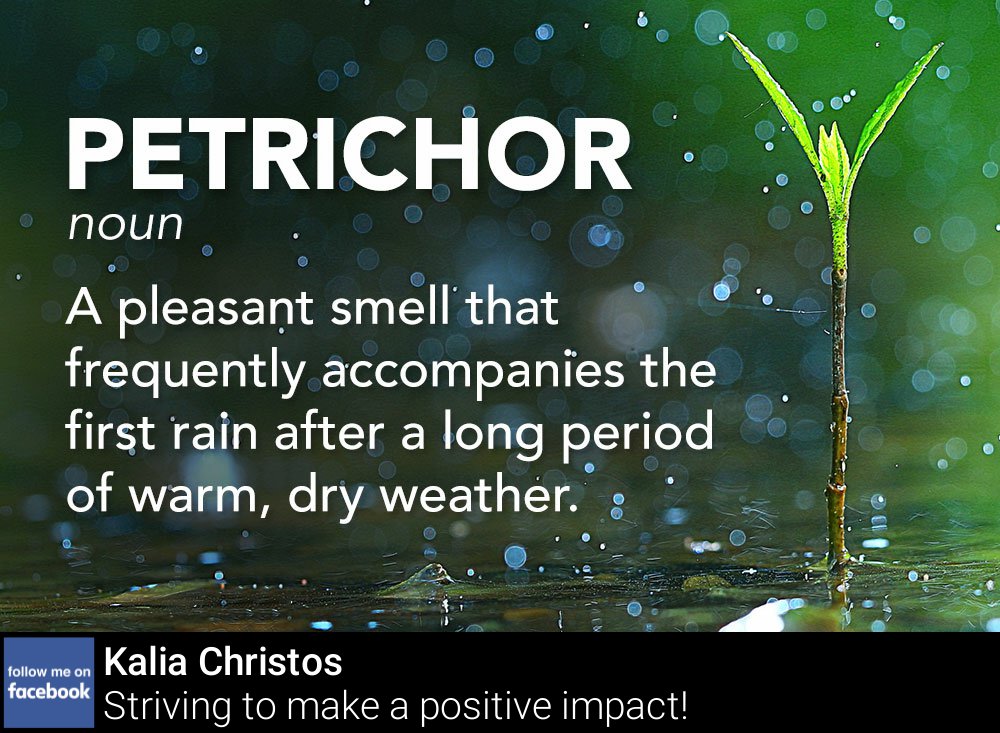 DesignmasterAI's tweet image. What’s your favorite (non popular) smell?