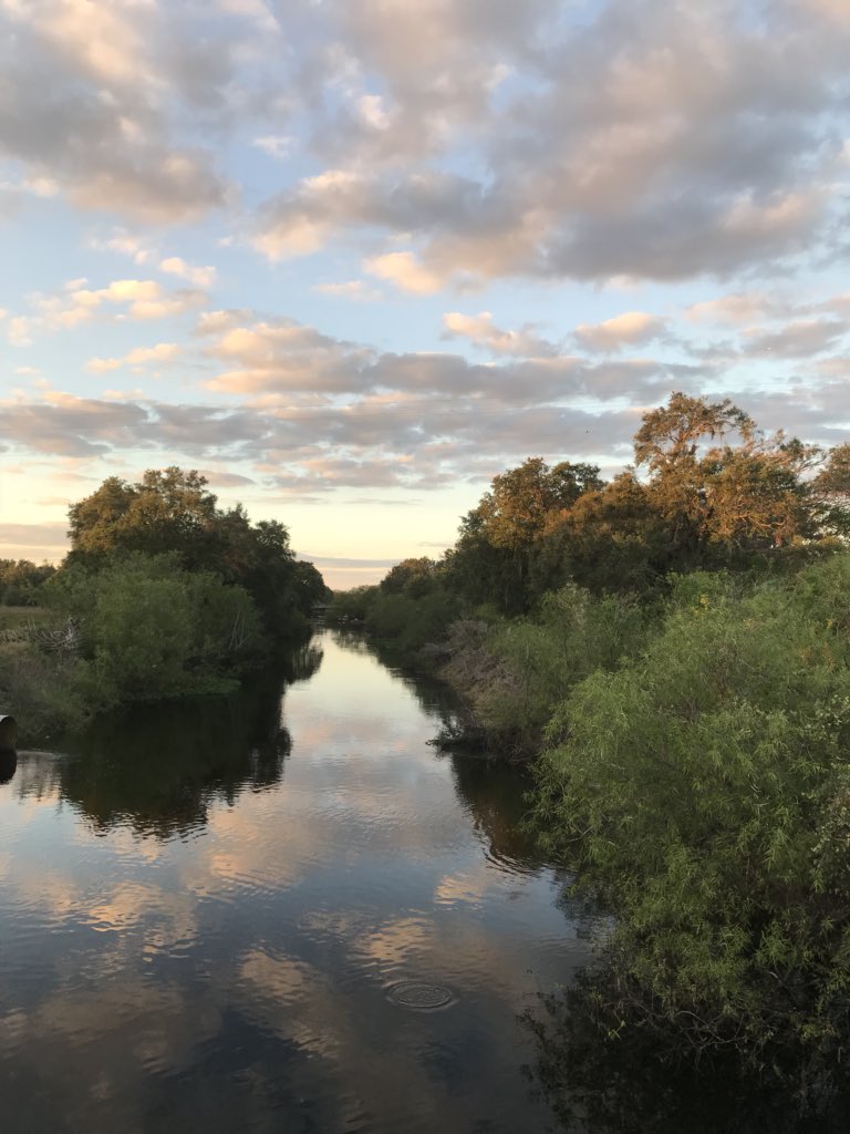 MyMuShuDog's tweet photo. @TheManicMedium Here is mine to yours daydream believer... #StillLife #Monet sur la #Floride? And of course #NoFilter https://t.co/XI4RIE8DZA