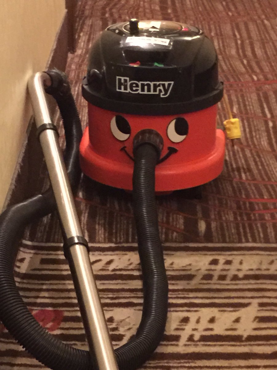 SFContario's tweet image. I always like seeing this little guy.