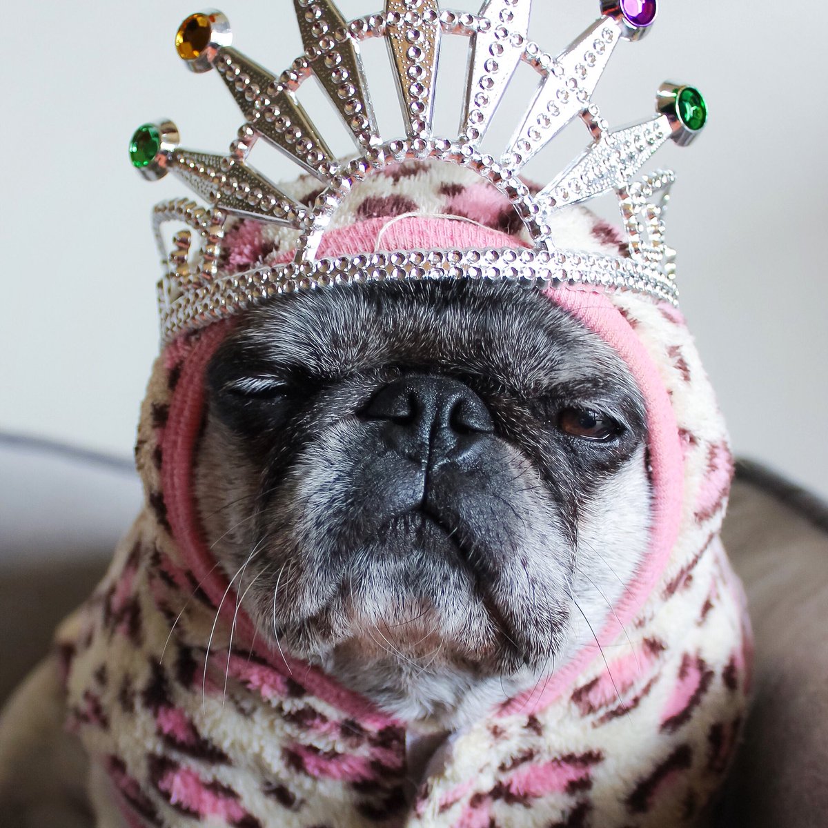 I even make sweater weather look fabulous. 👑 #princessdontplay