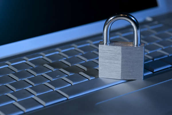 Explore Into tweet media