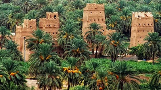 FaisalbinFarhan's tweet photo. An old village in Najran, southern Saudi Arabia - via @SctaSa https://t.co/MfrVr76LIy