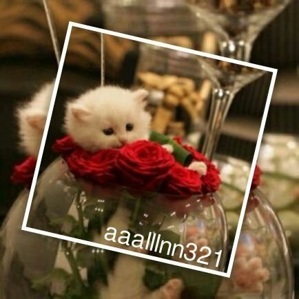 amount30's tweet photo. @aaalllnn321
🌺🌺🌺🌺🌺🌺
احفظ لسانك واحترز من كلامك
يفرق عقول الناس قول السنتها

الصمت يحفظ قيمتك وحترامك
واهـل السوالف تّتّبع شاكلتهـا
🤐🔕 https://t.co/JiAIZg0Rms