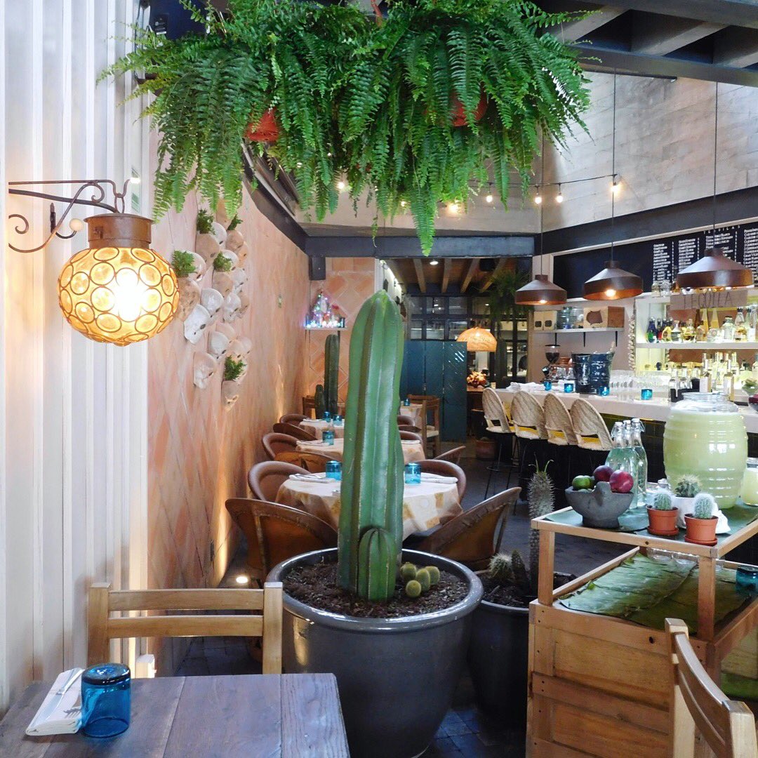 ¡Domingo familiar con mucho sabor! 👨‍👩‍👧‍👦💕
Nos vemos en Virgilio 40, Polanco