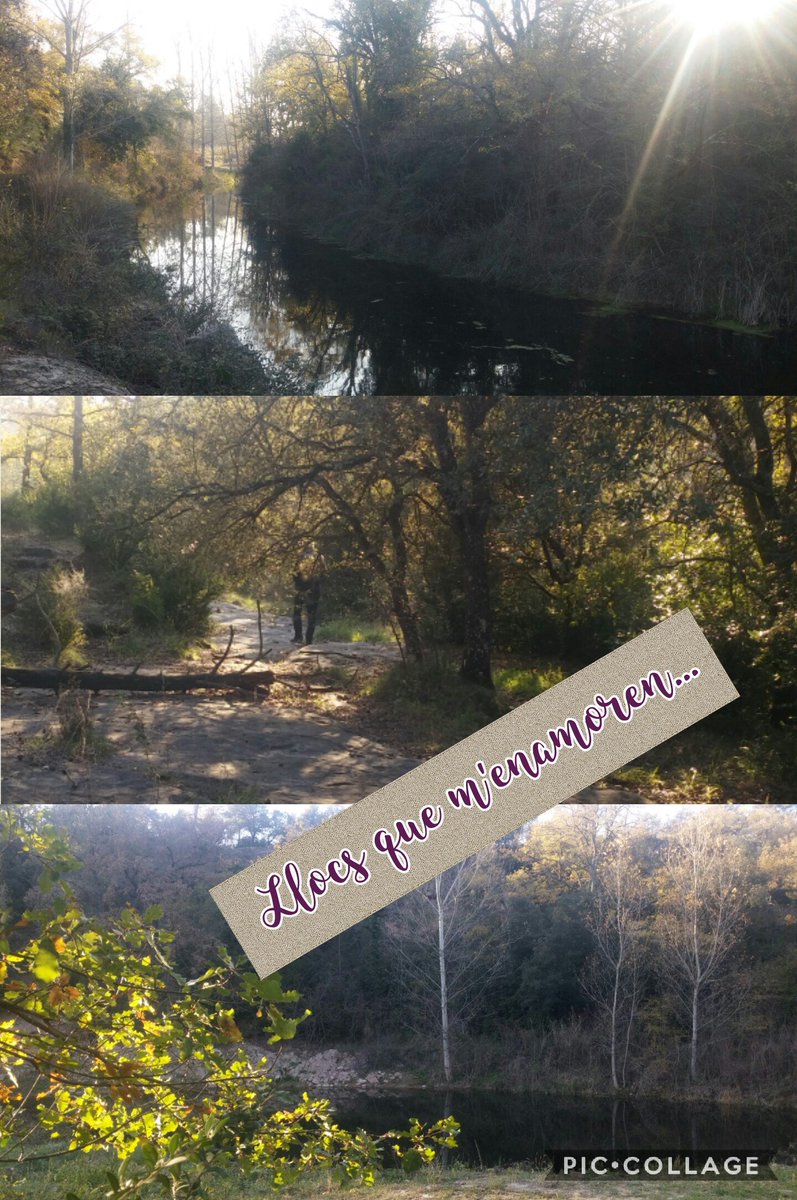 AnnaAligue's tweet photo. #Lluçanès #Sant Martí d'Albars #captard https://t.co/GnmIDBfJBc