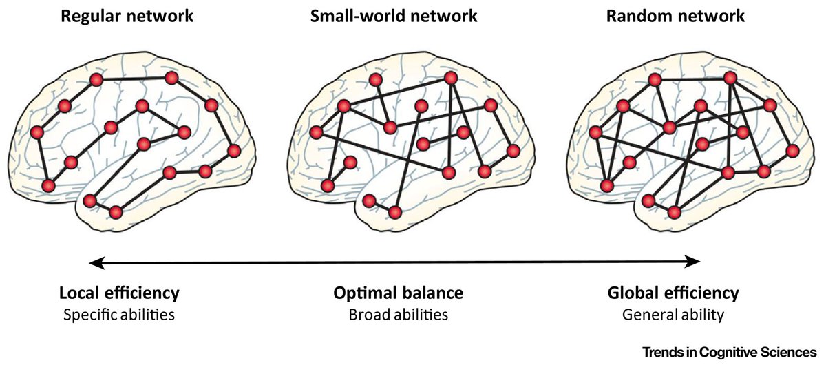 DecisionNeuroscience tweet media