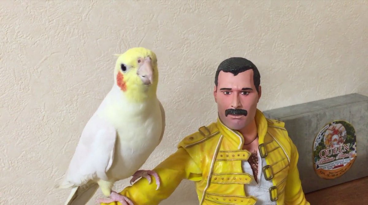 El Break PM tweet media