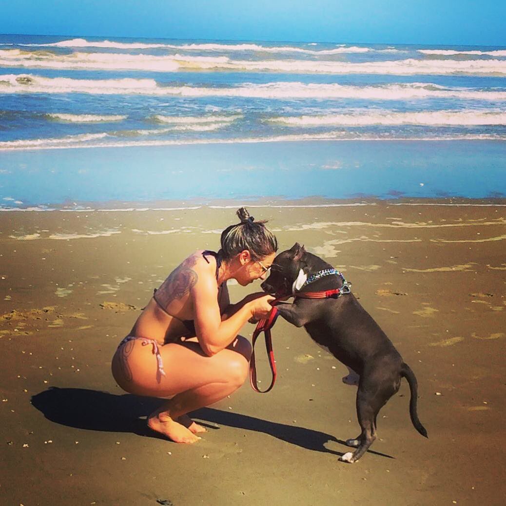 Gezim Demolli (@gezimdemolli) on Twitter photo 