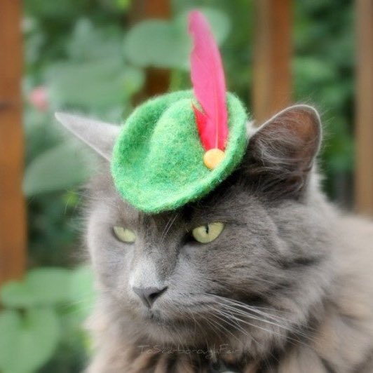 petercitooooo's tweet image. #NewProfilePic