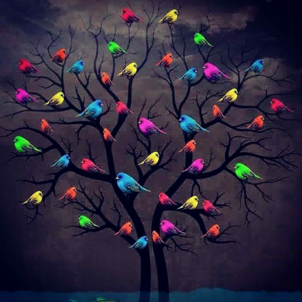 sevin312's tweet photo. Bi Kurdî baxive
Bi Kurdî binivîse
Bi Kurdî hez bike 
Bi Kurdî gez bike
Bi Kurdî bi jehire
Bi Kurdî rakeve
Bi Kurdî rabe
Bi Kurdî rûne
Bi Kurdî awiran bide
Bi Kurdî binêre
Bi Kurdî heneka bike
Bi Kurdî bijî 
Û Bi Kurdî bimire.... https://t.co/BF2CygJT1t
