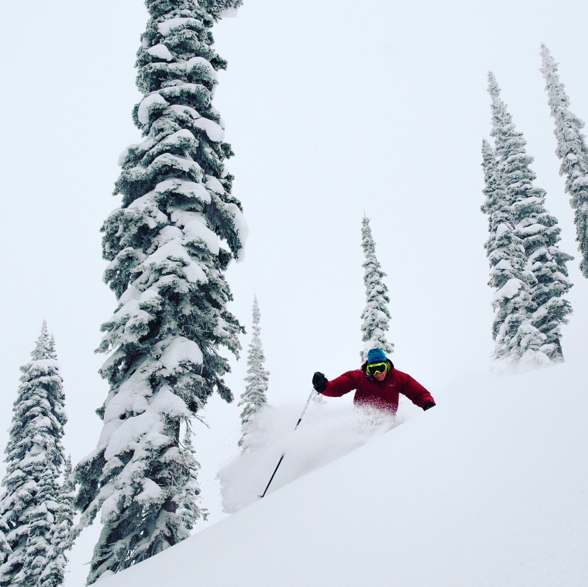 How much more bad ass can <a href="/PowderMatt/">Powder Matt</a> get!! 📸 <a href="/MountainManCole/">Cole Pellerin</a> <a href="/SkiFernie/">Fernie Alpine Resort</a> #ferniestoke #lovefernie #ferniebc #explorebc #getoutside #thesweetlife #mountains #ski #pow #snow #chasingthegato