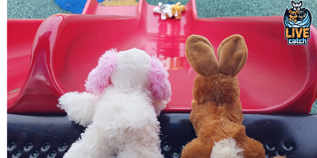 LIVEcatchGAME's tweet photo. "That looks like a long way down."    The #LIVEcatch #AugmentedReality Virtual #Pets Game is coming this Spring! get ready for fun. https://t.co/uYhvkymi3Z #puppies #kittens #bunnies fun game for #parents and #kids https://t.co/KimR3ztH90
