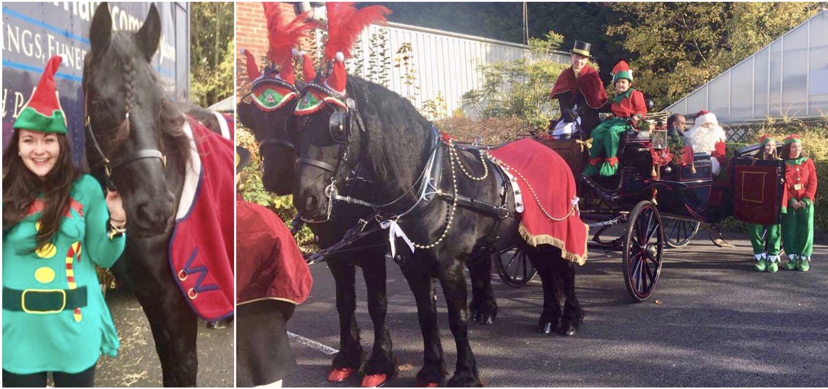 RachaelLowton's tweet photo. It’s the time of year again to be an Elf for delivering Santa @Notcuttsuk Nottingham 😂👍🏼 #elfie #goodponies #jingle #itsnotevendecemberyet🤔😳 https://t.co/Qn8n3x2w0y
