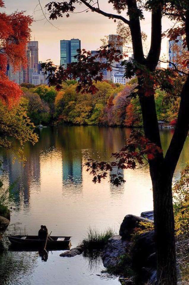PixOfWorld's tweet photo. Central Park, New york #USA https://t.co/e6ukl5h7Bs