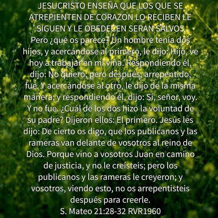 JESUCRISTO dice que habra arrepentidos de corazon y haran su voluntad lo seguiran y los que le diran a todo que si pero no haran su voluntad