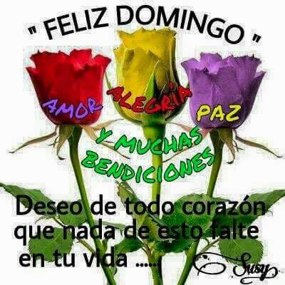 HectorH66546609's tweet photo. @altairJoficial Con Mucho Cariño Para Mi Fans Que Tengas Un Bonito Domingo https://t.co/uAwzuFOBt1