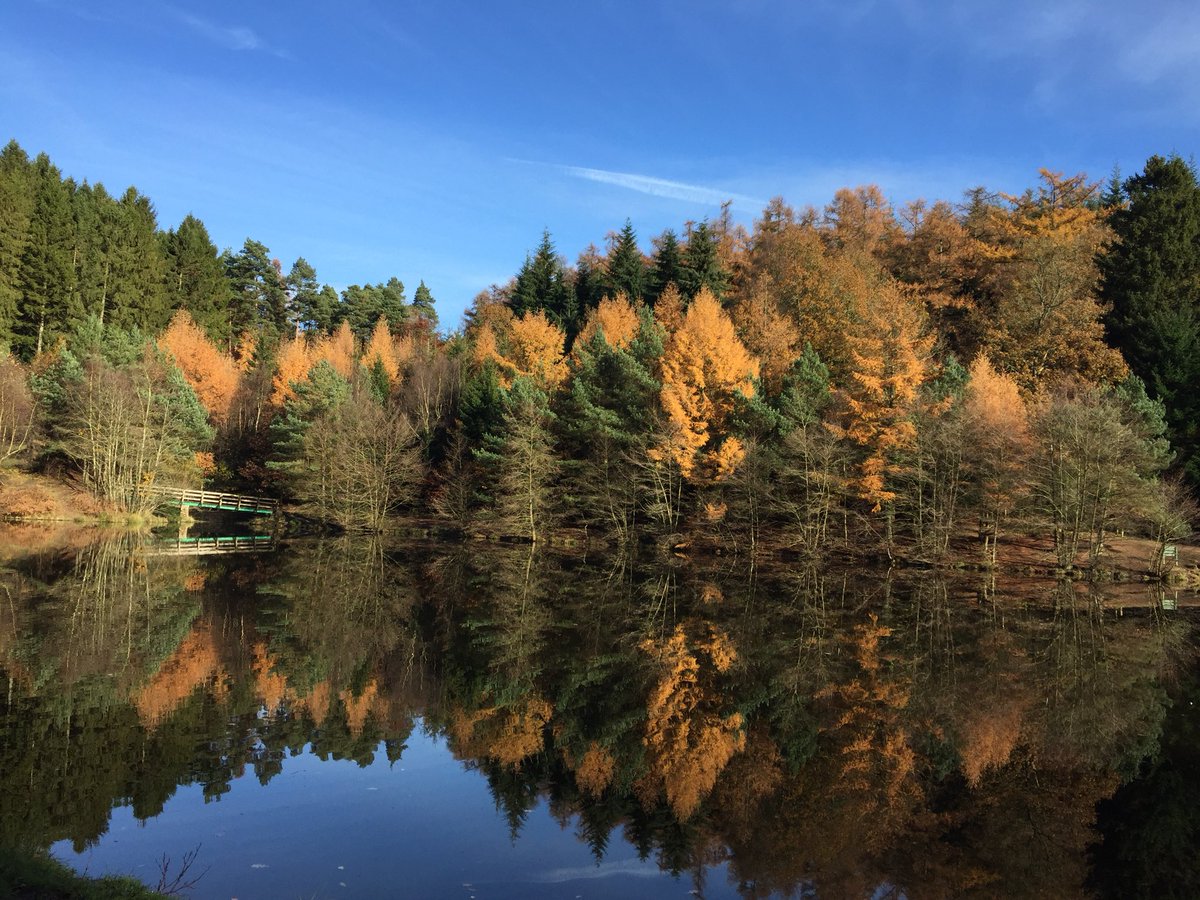 trail42's tweet photo. Stunning #FoD https://t.co/DAzXPFAw0Y
