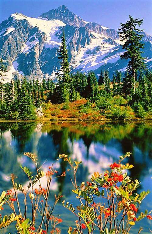 alvarofb23's tweet photo. Good morning Twitterworld.
Wishing you all, a wonderful New Week. https://t.co/1W2ldIEuLR