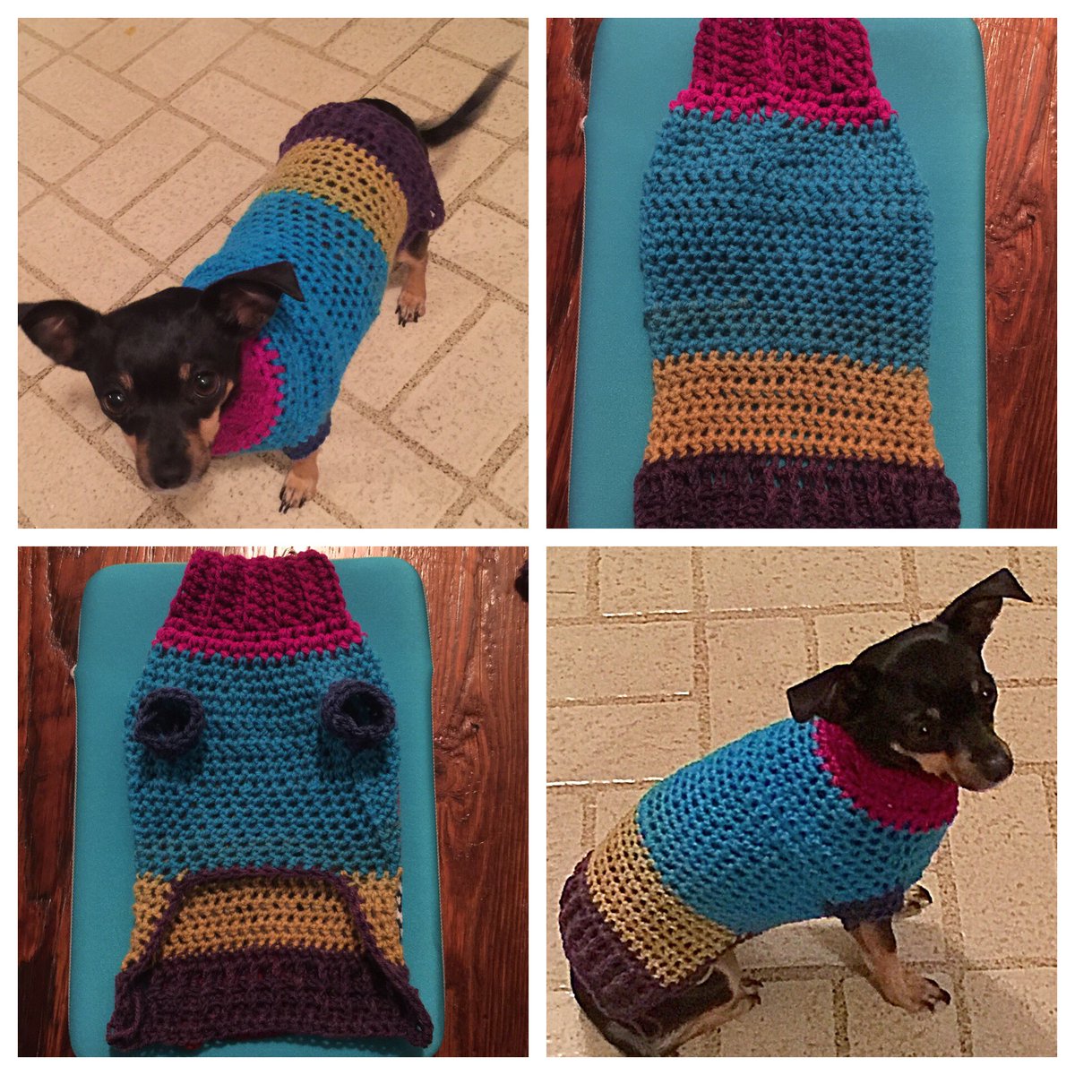 New crocheted design for my Chiweenie: