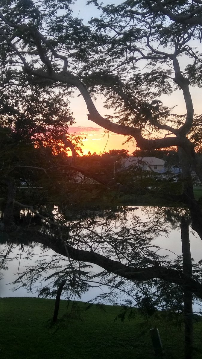 mojicapr's tweet photo. End of a busy and frustrating (thanks Dolphins) day but at least I can sit and see this โค๐๐๐
#sunset #florida #ByeSunday https://t.co/0KVM5ccX7L