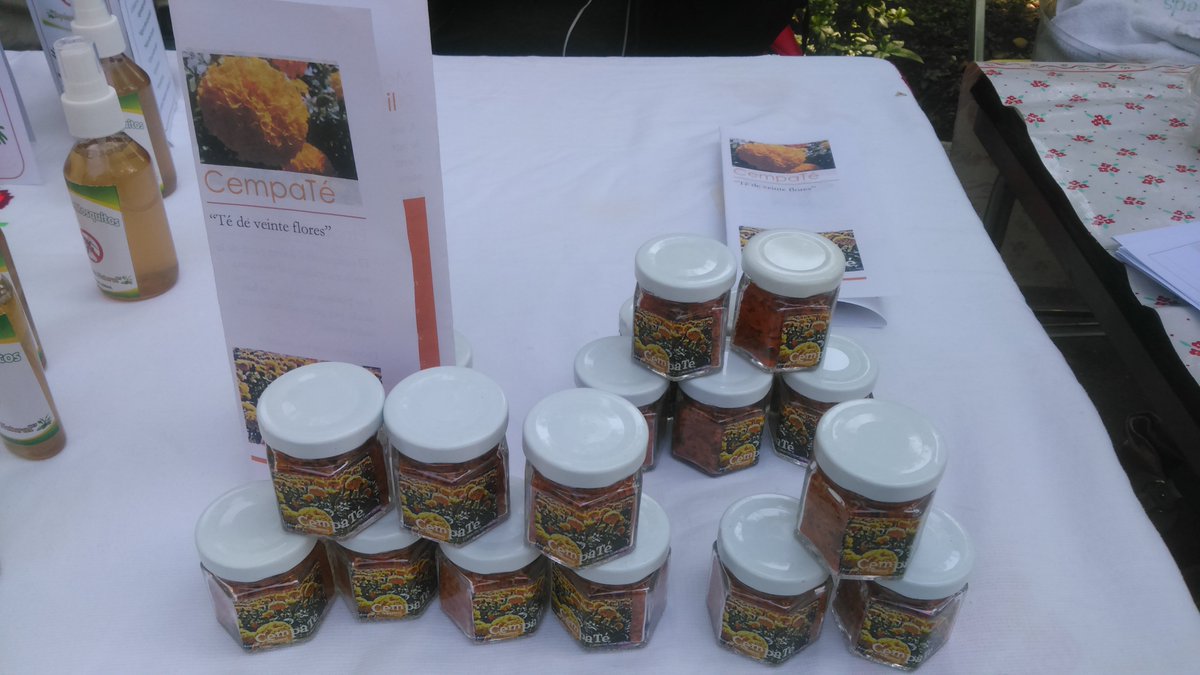 KronoLopez's tweet photo. Feria del adulto mayor Parque Agua Azul @agorajavier @javierdealba4s https://t.co/SFsRZEy7SR
