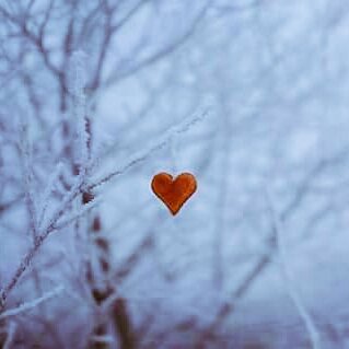 solopermario's tweet photo. Buonanotte #marioserpa 
Tu sai tutto l'amore che puoi dare...Non sprecarne nemmeno una goccia.
E pretendi lo stesso identico amore assoluto e incondizionato che meriti.
Lo devi a te stesso, per tutto quello che in passato ti è stato negato. https://t.co/j2dJud8pEC