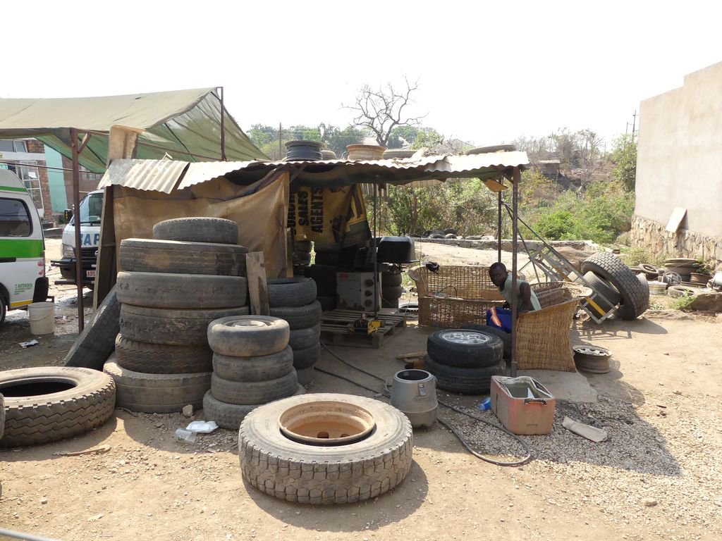 Elizabeth Willoughby tweet media