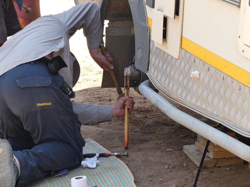 Elizabeth Willoughby tweet media