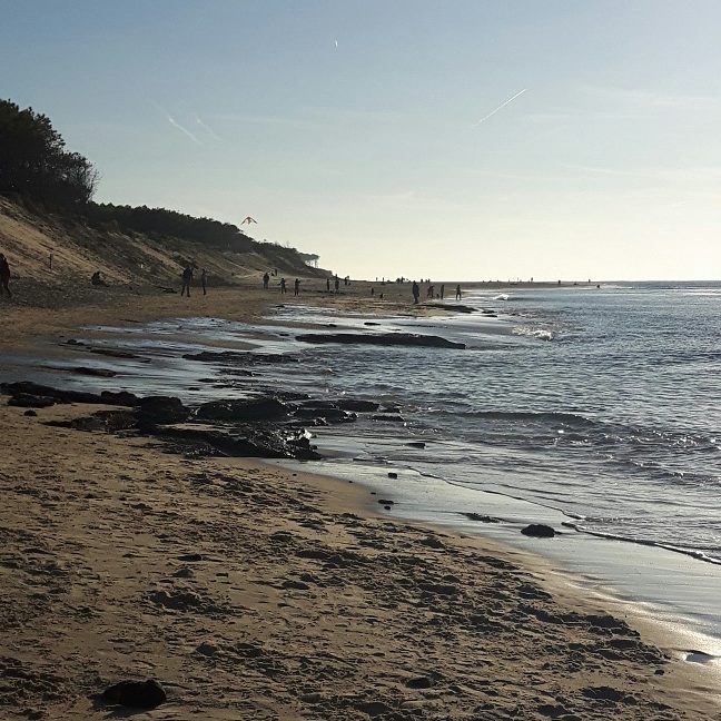 MSabrina52's tweet photo. Petite sortie à la #plagedupetitnice #latestedebuch #bassinarcachon#19novembre @EspritBassin @coeurdubassin https://t.co/mZGWUJNxTp