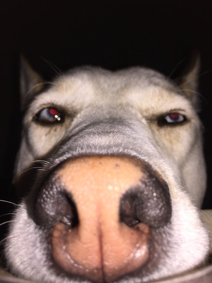 Natasha Burgess tweet media