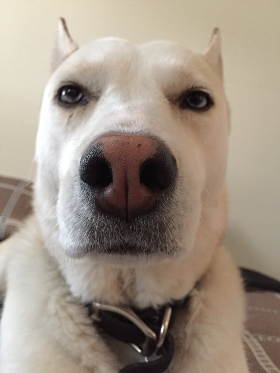 Natasha Burgess tweet media