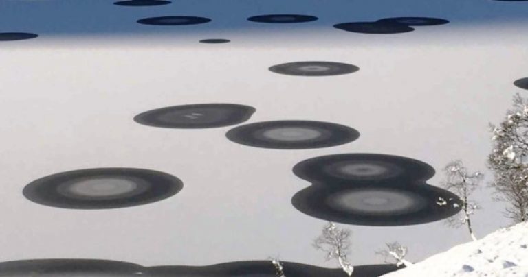 segnidalcielo's tweet photo. Norvegia, nel lago Anestølsvatnet compaiono decine di Cerchi nel Ghiaccio!! https://t.co/mf0Mouw6AD #IceCircle #cropcircle #Norvegia #ice #news #Misteri https://t.co/71mTl0gKRM