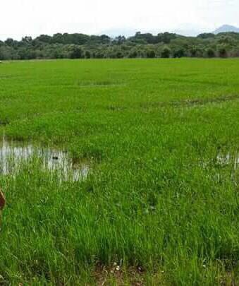 PrestamosPMA's tweet photo. PRÉSTAMOS CON GARANTÍA DE SU #FINCA O #TERRENO info al WHATSAPP 507-67817815 https://t.co/rcwQRsMk8z
