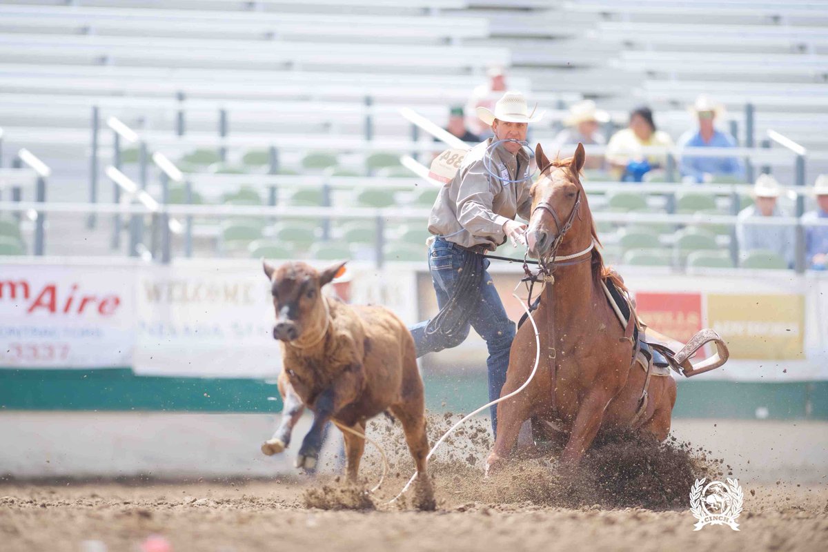 #CINCHTeam NFR spotlight spotlight: Texas cowboy, Timber Moore made his 6th NFR this year. The experienced calf roper picked up a win at Dodge City, KS and lots of checks to secure his spot at the finals.  #LeadDontFollow