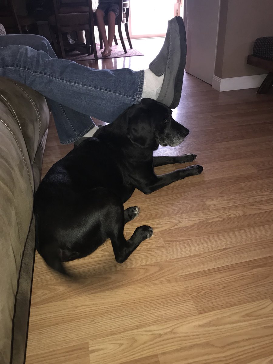 cleveoftheland's tweet photo. anything for my humans https://t.co/6lqhMFKjem