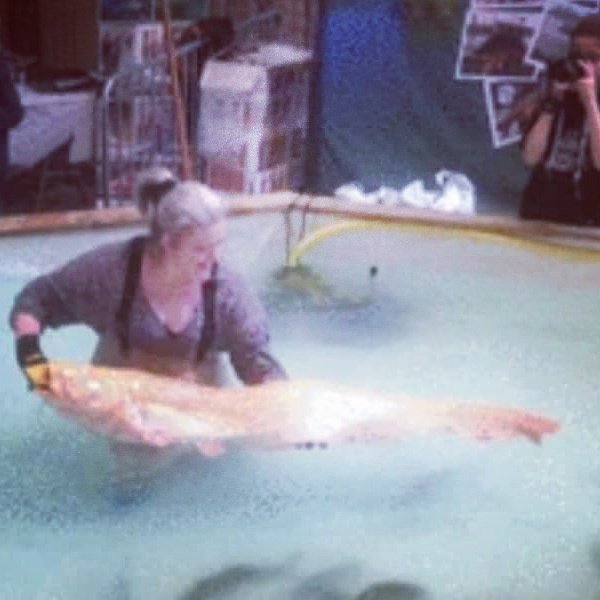 celine lesieur (@cacouette36) on Twitter photo 