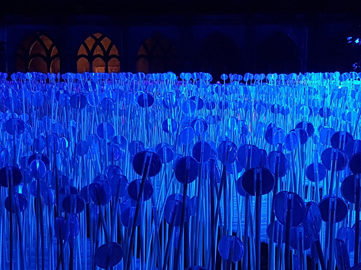 Amazing work displayed <a href="/durhamcathedral/">Durham Cathedral</a> as part of <a href="/lumieredurham/">Lumiere</a> 2017 #Durham