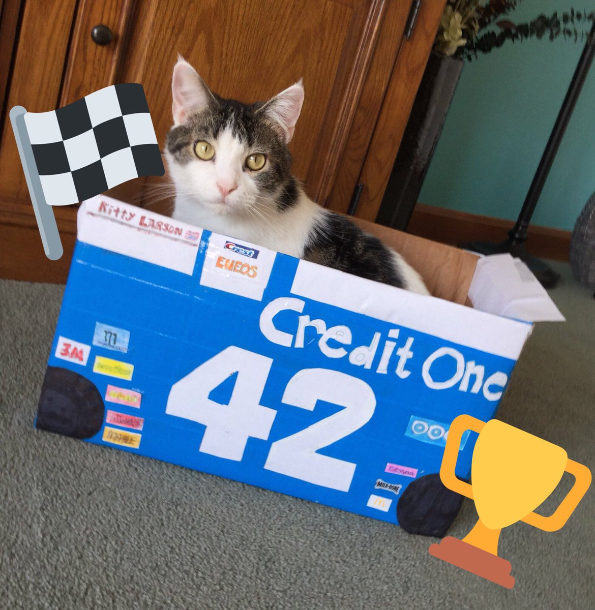 KittyLarson42's tweet photo. Happy final @NASCAR Raceday of the year everyone! Go @KyleLarsonRacin!!!! 😺🏆 https://t.co/BNf5O9pskk