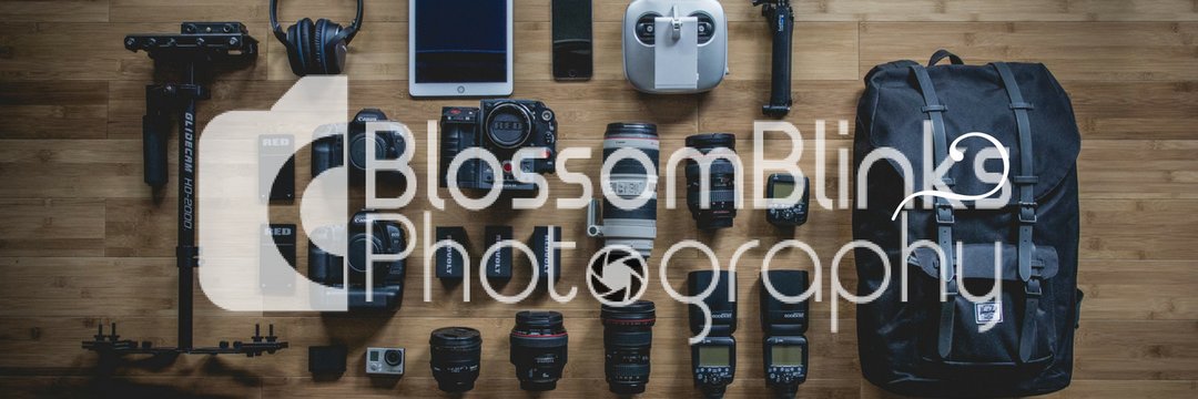 BlossomBlinksP's tweet photo. #GetFreeQuote 👉 https://t.co/beXGgxuqXS
Are you looking for #Photographer in #BayArea ?
We specialise in #FamilyPortraits ,
#CouplePortraits , #BirthdayPhotography , #Newborn #photography , #BabyPhotography , #MaternityPhotography
#California #Hayward #USA #BlossomBlinks https://t.co/CHNbX0xGFF