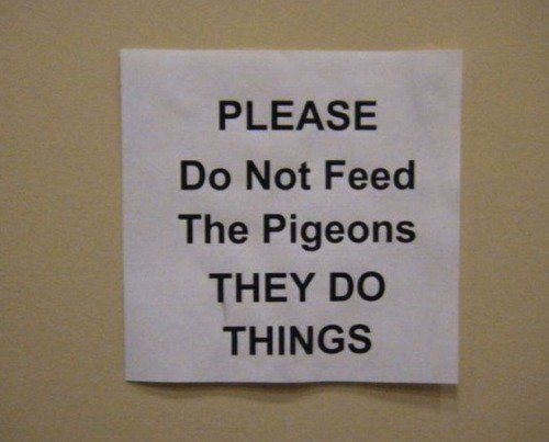 juliagalef's tweet photo. "i love how vague this is because it implies that what the pigeons do is too scary to write down
'we cannot bear to tell you what horrors the pigeons have wrought'"
- rabbithugs (https://t.co/TPjcSIbpLI) https://t.co/ffEVEyX5Jp