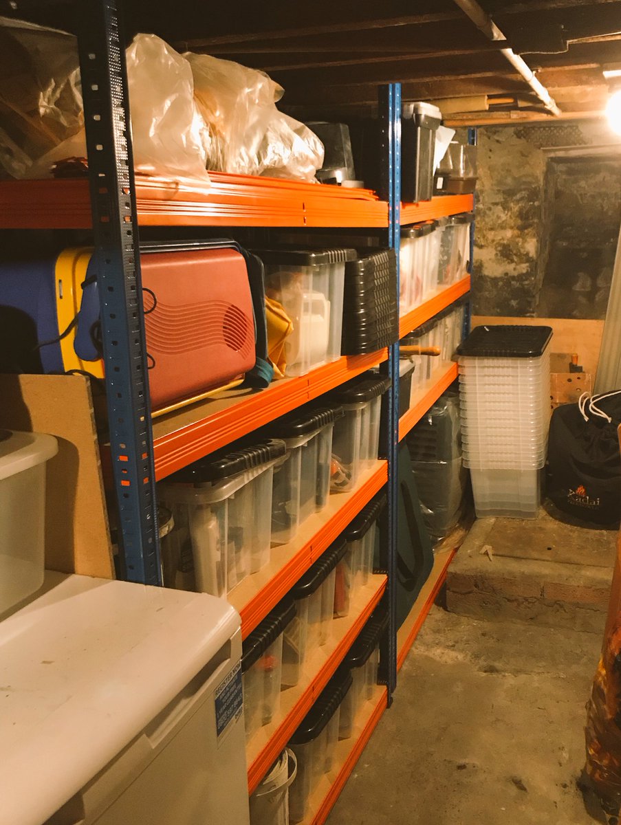 camp_ben's tweet photo. Ever wondered what #LandLadyClare and I get up to on a Sunday?  We build shelves and tidy the cellar, obvs!  #DIY #ButchBen https://t.co/L98k2LcoRr