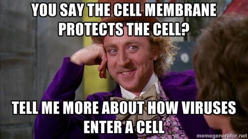 CellWall2024's tweet photo. Weak! https://t.co/4R5v4jl9it