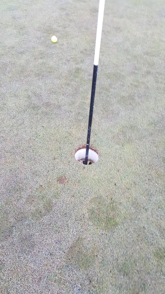 Stixynix's tweet photo. Well that's the closest I've been to a hole in one! Look at the divot man! #nearly #almostaholeinone https://t.co/K9SnQXHJkU