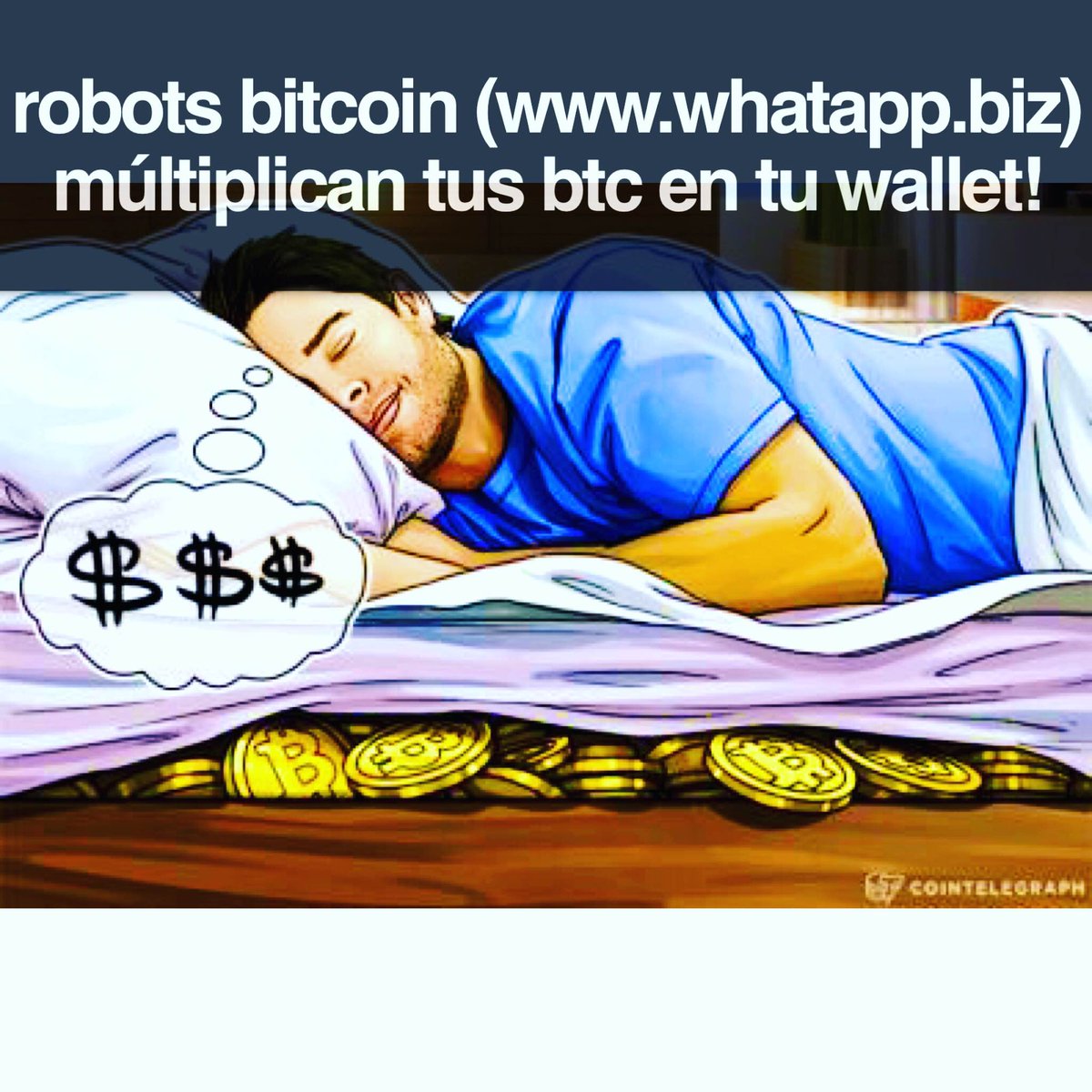 catonrodriguez's tweet photo. 🔥Tus BITCOINS lucen MEJOR en TU BILLETERA‼️Y no en la BILLETERA de ninguna Empresa🔥#catonr #btc #cwe #robotbitcoin #criptomonedas #blockchain https://t.co/UqzpObZmSU
