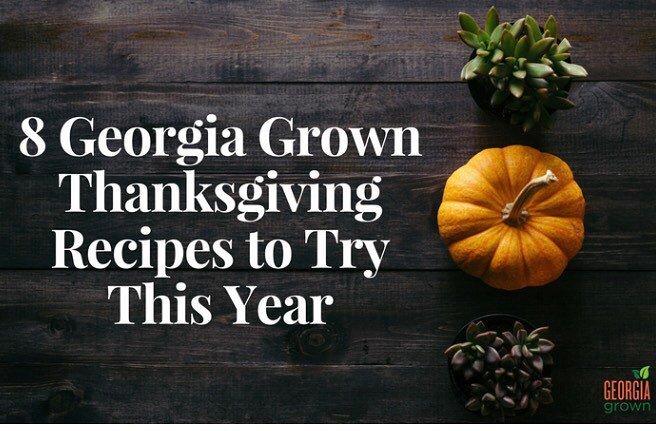 Looking for some local recipes for your Thanksgiving meal this year! Check out our article in our bio for 8 #GeorgiaGrown recipes you need to try this year! 🦃🦃
.
.
#thanksgiving #welovegeorgia #georgiafarm #georgiafood #farmtotable #farm ift.tt/2AWtbLf
