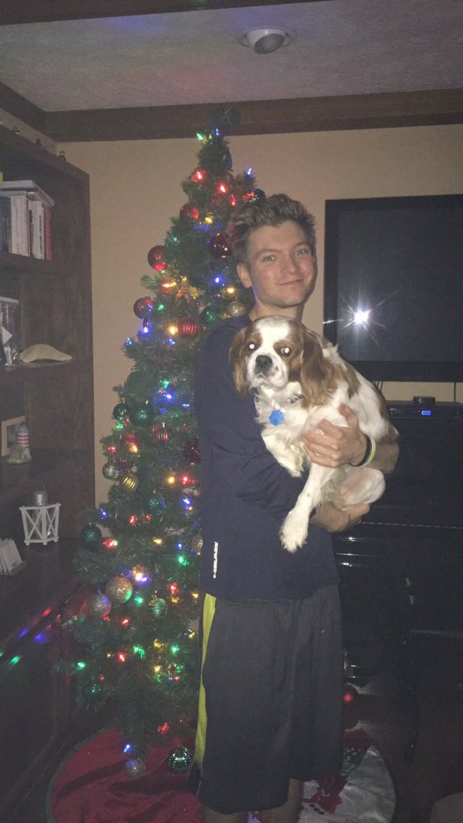 prettypaws177's tweet photo. Our paws are ready for Christmas! https://t.co/gE41ZMFaC3