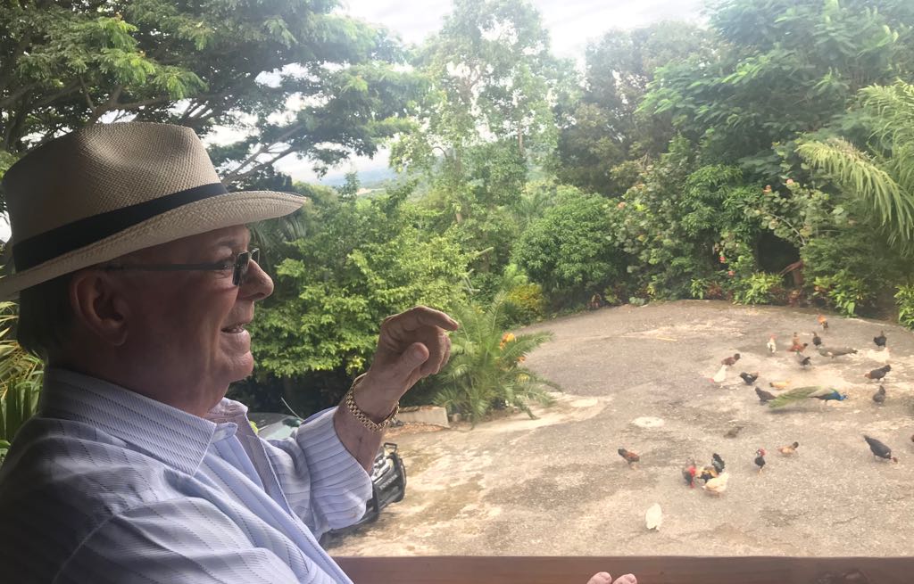 llegopapa's tweet photo. Al contemplar mis más de 60 razas de gallinas, con sus coloridos plumajes, siento un maravilloso deleite espiritual. ¡Qué bella es la naturaleza! Preservémosla para las presentes y futuras generaciones. https://t.co/IHFrRU5i7L