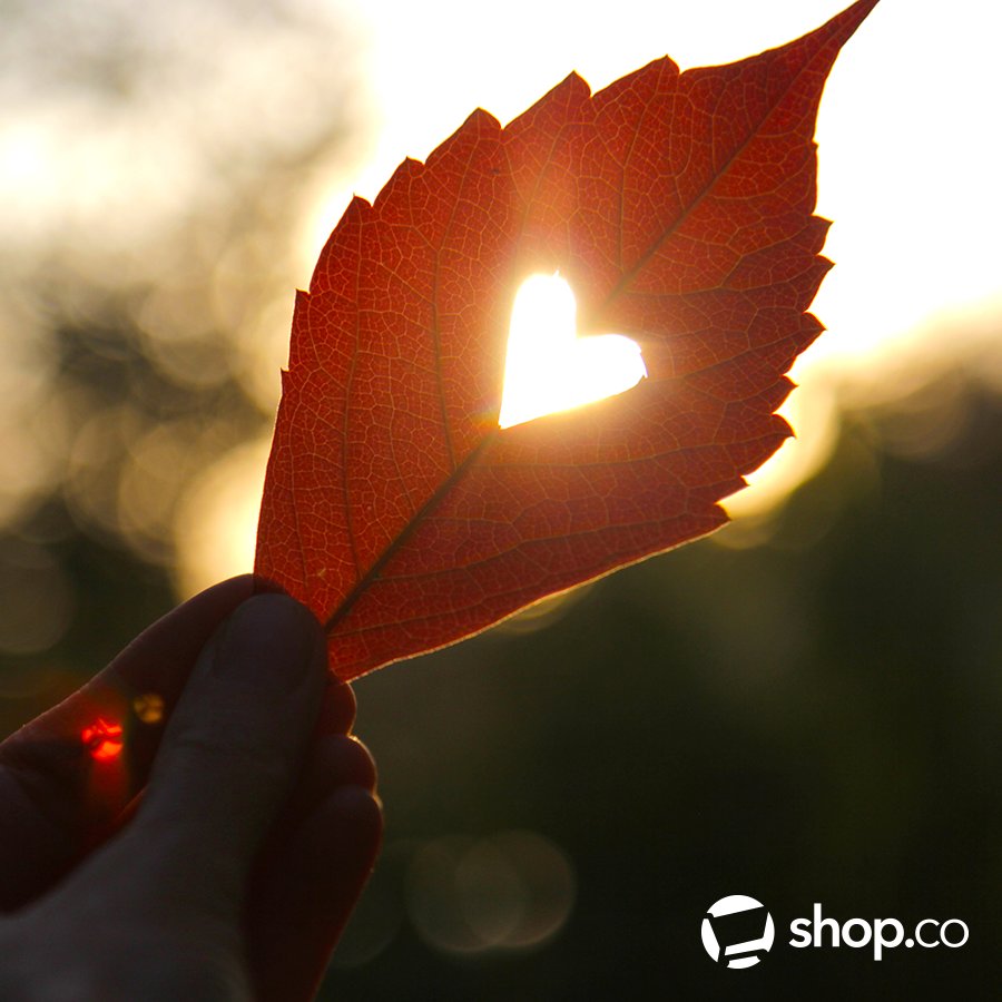 shopdotco's tweet photo. We wish you a wonderful Sunday. Enjoy your shopping from the comfort of your home! 
https://t.co/KoR3rnRuAz  #ShopCo #ShopDotCo #shopping https://t.co/uWspF50T0a