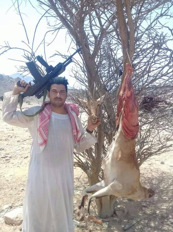 kassala555444's tweet photo. من عنده نيت مقناص السودان 
للستفسار واتساب 00249912223802 https://t.co/952LXoQHJR
